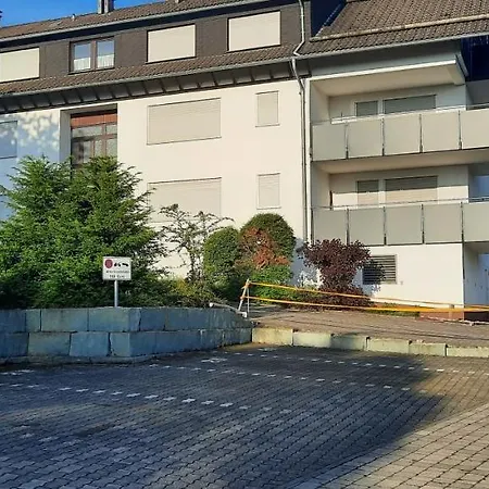Bambus Winterberg