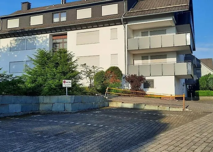 Bambus Winterberg