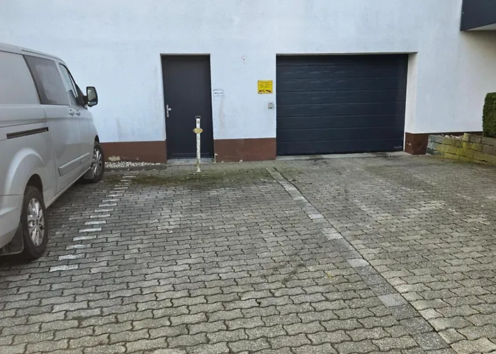 Bambus * Winterberg